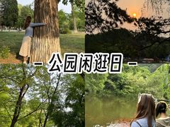 -二一九公园