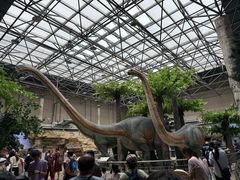 -国家自然博物馆