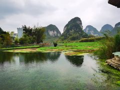 -靖西鹅泉风景区