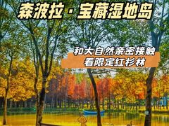 -佛冈森波拉度假区