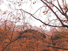 -狼牙山风景区