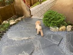 -沣峪口