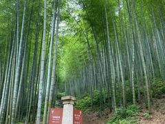 -五泄景区