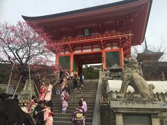 -有栖山 清光院 清水寺