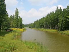 -黄海国家森林公园