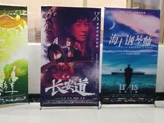 -武汉华夏国际影城(鲁广店)