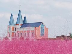 -鹅湖玫瑰文化园