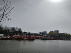 -大兴滨河森林公园