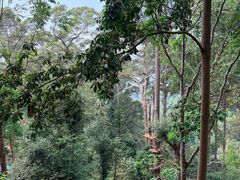 -清迈丛林飞跃 JungleFlight