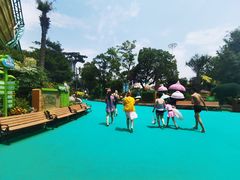 -苏州乐园森林水世界