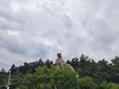 -帽儿山国家森林公园