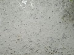 -北海金海湾红树林生态旅游区