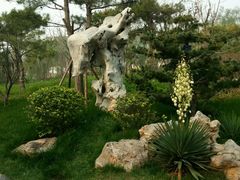 -武清南湖绿博园