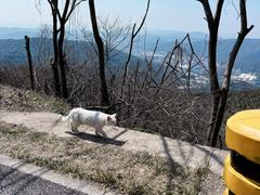-惠山国家森林公园