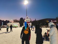 -沈阳奥体冰雪嘉年华