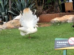 -昆明动物园