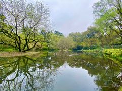 -柳浪闻莺公园
