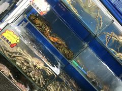 -蚝专家(北滘店)