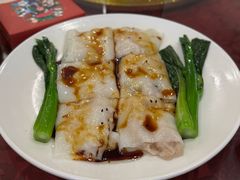 -一煲鸽