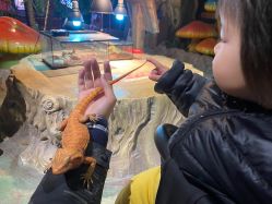 -酷嗒动物文化乐园(cutezoo西溪乐天城店)