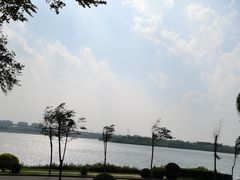 -丁香湖公园