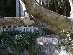 -蝴蝶泉公园