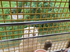 -上海野生动物园