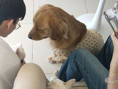 -怪兽屋·羊驼·猫咖·狗咖(俊华广场店)