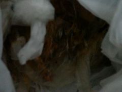 android_upload_pic-水一方现烤鱿鱼丝大连特产(三八广场店)