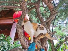 -龙华寺
