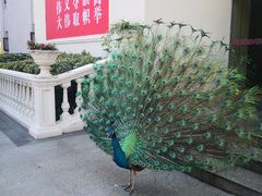 -西昌邛海宾馆