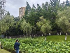 -沐仙湖湿地公园