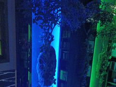 -观唐足道SPA养生会馆(南湖店)