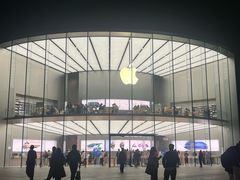 -Apple零售店(新街口店)