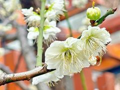 -静安雕塑公园