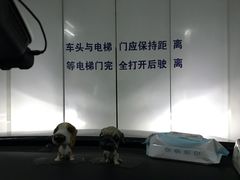 -顺风海鲜港(长寿路店)