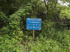 -阳台山自然风景区