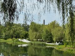 -北坞公园