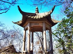 -紫金山山顶公园