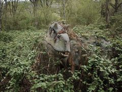 -木兰云雾山