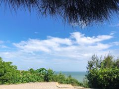-广东惠东海龟国家级自然保护区