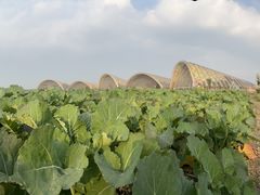 -中国天府农业博览园