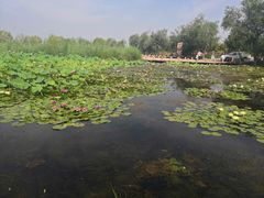 -绿堤公园
