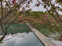 -四明山国家森林公园