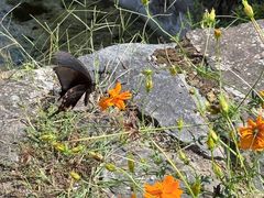 -MOJ coffee(瓯海泽雅水碓坑店)