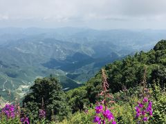 -白草畔自然风景区