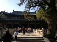 -晋祠公园