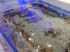 -澜悦港海鲜体验主题餐厅