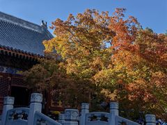 -香山公园