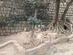 -杭州长乔极地海洋公园